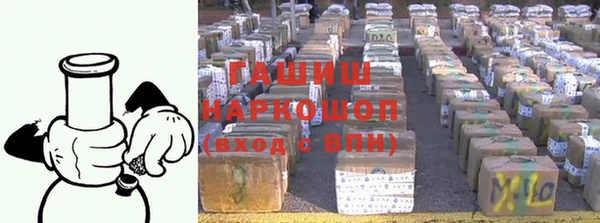 прущие грибы Елабуга