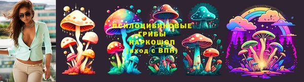 прущие грибы Елизово