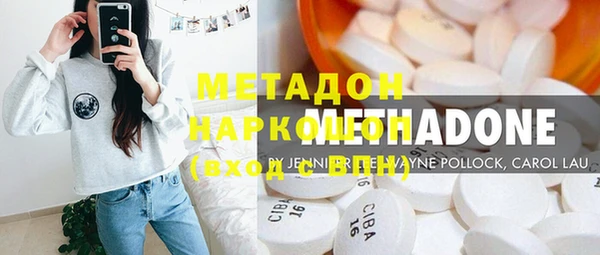 прущие грибы Елабуга