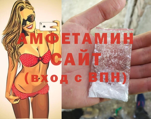 прущие грибы Елабуга