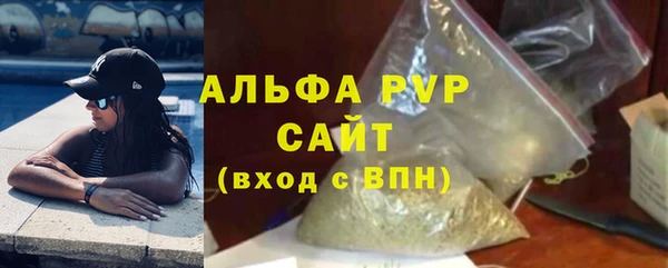 прущие грибы Елизово