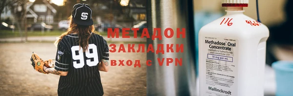 прущие грибы Елизово