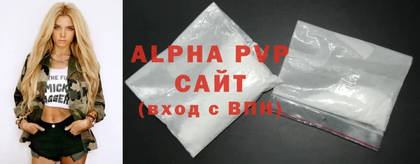 прущие грибы Елабуга