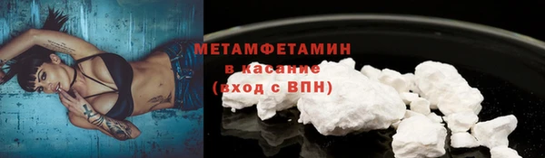 прущие грибы Елизово