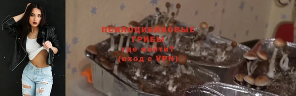 амф Заводоуковск