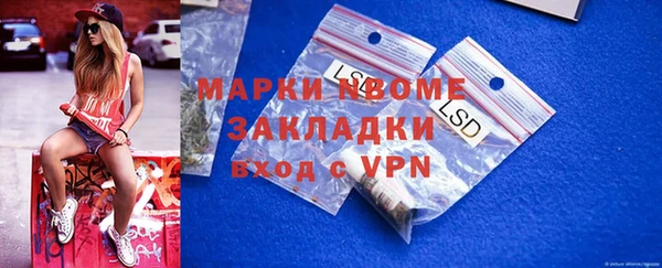 прущие грибы Елабуга