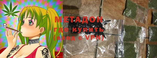 прущие грибы Елабуга