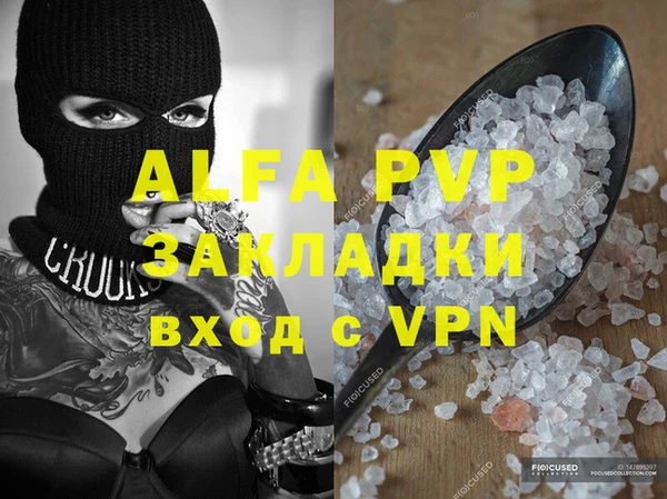 прущие грибы Елабуга