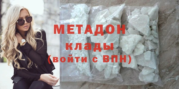 прущие грибы Елизово