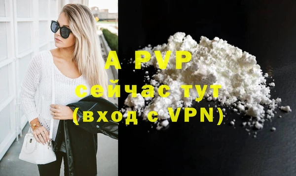 прущие грибы Елизово