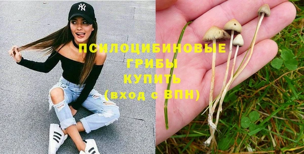 прущие грибы Елизово