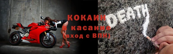 прущие грибы Елабуга
