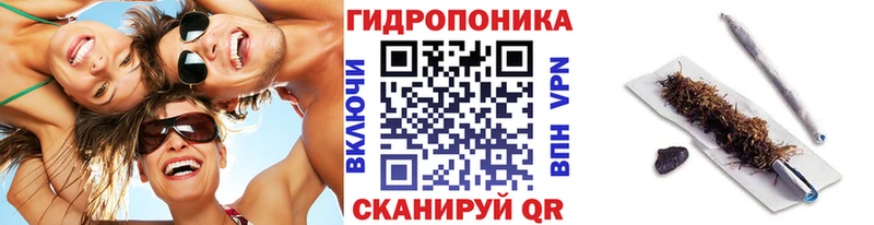 Бошки Шишки планчик  Купить  Осташков 